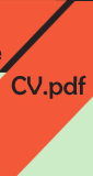 mon cv
